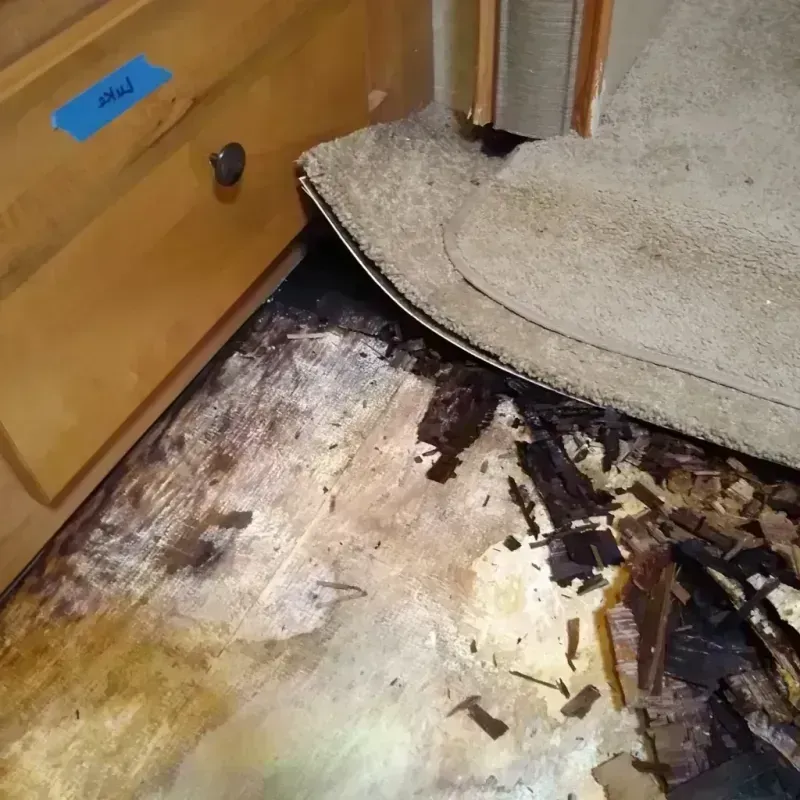 Wood Floor Water Damage in Hughson, CA